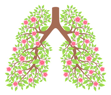 lungs healthy